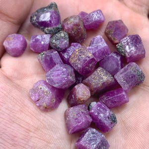 May include: A handful of raw, uncut ruby gemstones. The rubies vary in size and shape, displaying a deep pinkish-red hue with some areas of darker purple and brown. The rough texture and natural forms of the stones are visible.