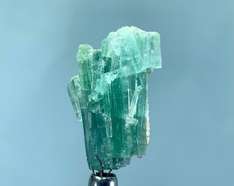Paraiba Turmalin Kristall: Rohe Blaue Edelstein Gruppe - 15 Karat