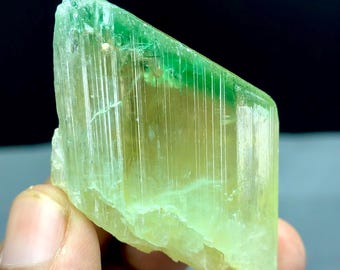 Terminated Bi-Color Kunzite Crystal, Raw Afghanistan Gemstone , 380.35 carat