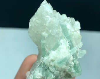 Funkelnde Meerschaumgrün-Paraiba-Turmalin-Cluster auf Quarz - 43g natürliches Rohmineral