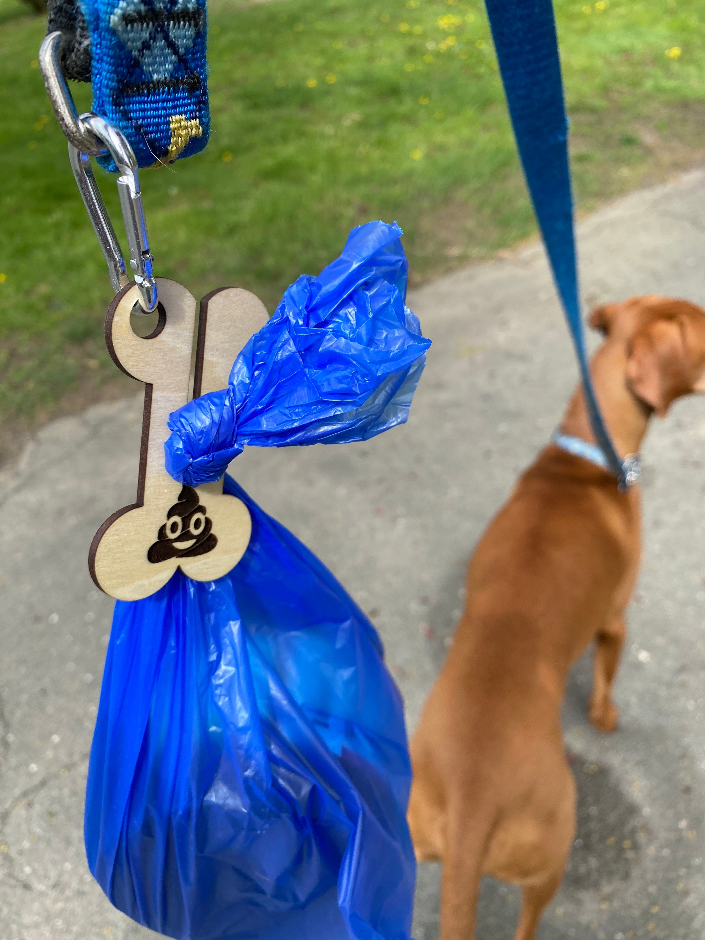  baystarxu Luxury Vintage Dog Poop Bag Holder Leash Attachment,  Dog Waste Bag Dispenser Zippered Pouch, Fits Any Dog Leash Black : Pet  Supplies