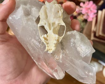 Large Natural Clear Quartz Crystal Cluster
