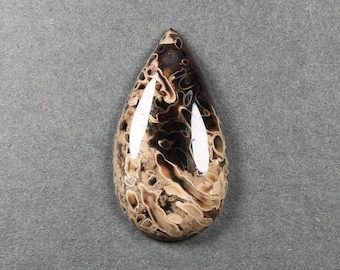 Petrified Palm Root Teardrop Cabochon 30.9 x 16.9 mm