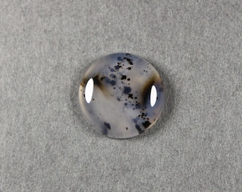 Dendritic Montana Agate Round Cabochon 15.3 mm