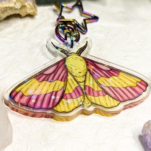 May include: A clear acrylic moth keychain with a rainbow star-shaped clasp. The moth has yellow and pink wings with a detailed design. The keychain is a unique accessory.
