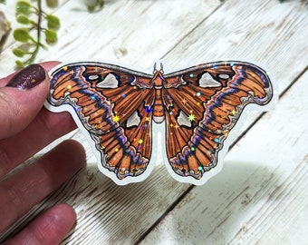 Holographic Atlas Moth Sticker, Laminated Stickers, Water Resistant, Insect Art, Pretty Moths, Cottagecore Aesthetic, Witchy Vibes, Bug Art