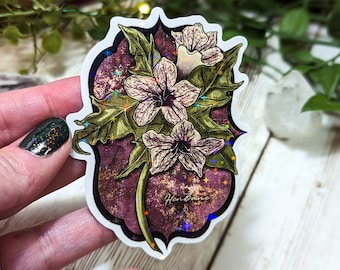 Holographic Henbane Sticker, Laminated Poisonous Plants Stickers for Water Bottles, Witchy Flowers, Moody Aesthetic, Laptop Decals