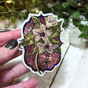 Holographic Henbane Sticker, Laminated Poisonous Plants Stickers for Water Bottles, Witchy Flowers, Moody Aesthetic, Laptop Decals
