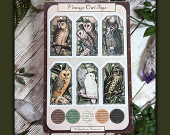 Vintage Inspired Owl Sticker Sheet, Owls Stickers for Bullet Journals, Decorative Elements for Journaling, Dark Academia Themed, Cottagecore