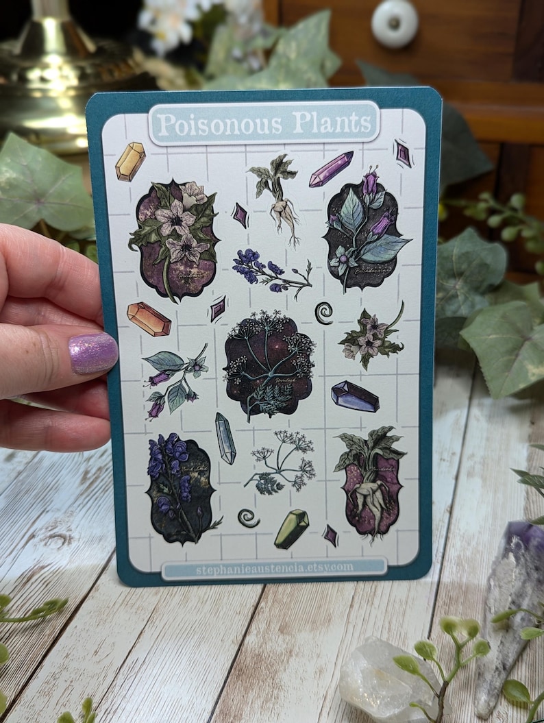 Poisonous Plants Sticker Sheet, Witchy Hand Drawn Kiss Cut Stickers, Belladonna Hemlock Henbane Monkshood Mandrake Stickers, Bujo Planners Regular Size