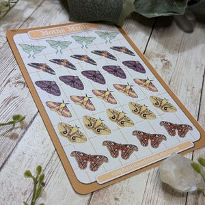 May include: A sheet of colorful moth stickers with a grid pattern. The stickers feature various moth species in shades of green, purple, yellow, and orange. The sheet is labeled "Moths Minis" and includes the Etsy shop name "stephanie austencla.etsy.com".