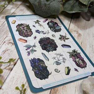 Poisonous Plants Sticker Sheet, Witchy Hand Drawn Kiss Cut Stickers, Belladonna Hemlock Henbane Monkshood Mandrake Stickers, Bujo Planners image 3