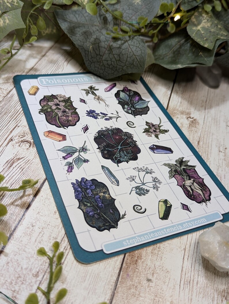 Poisonous Plants Sticker Sheet, Witchy Hand Drawn Kiss Cut Stickers, Belladonna Hemlock Henbane Monkshood Mandrake Stickers, Bujo Planners image 3