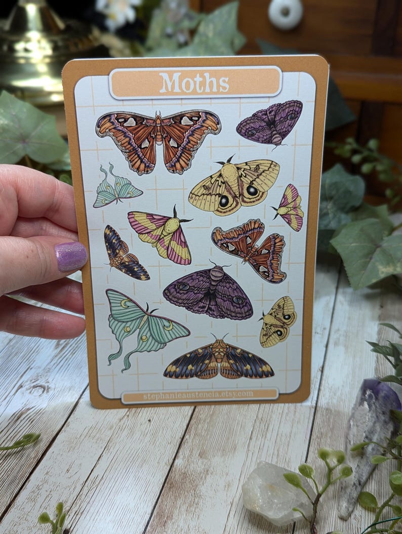 May include: A sheet of stickers featuring various moth illustrations. The stickers are on a white background with a grid pattern. The sheet is labeled "Moths" in a light orange box at the top. The stickers feature moths in various colors, including brown, orange, yellow, green, purple, and pink.