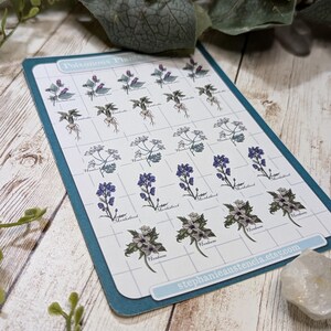 Poisonous Plants Sticker Sheet, Witchy Hand Drawn Kiss Cut Stickers, Belladonna Hemlock Henbane Monkshood Mandrake Stickers, Bujo Planners image 5