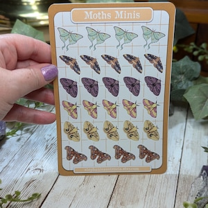 May include: A sheet of stickers featuring various moth illustrations. The stickers are arranged in a grid pattern on a white background with a light brown border. The title "Moths Minis" is printed at the top of the sheet. The text "stephanielaustencia.etsy.com" is printed at the bottom of the sheet.