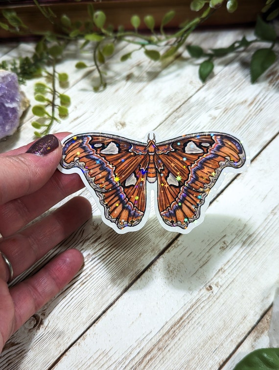 Holographic Atlas Moth Sticker, Laminated Stickers, Water Resistant, Insect Art, Pretty Moths, Cottagecore Aesthetic, Witchy Vibes, Bug Art