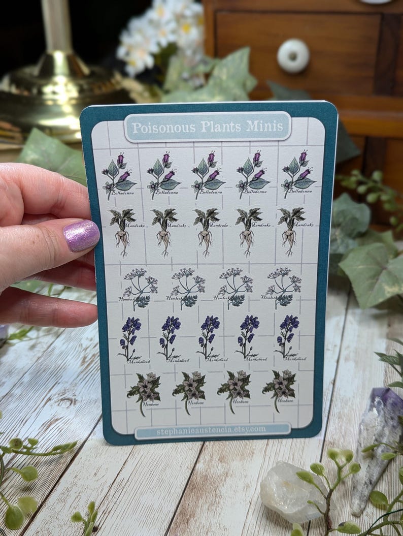 Poisonous Plants Sticker Sheet, Witchy Hand Drawn Kiss Cut Stickers, Belladonna Hemlock Henbane Monkshood Mandrake Stickers, Bujo Planners Minis