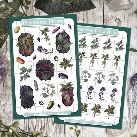 Poisonous Plants Sticker Sheet, Witchy Hand Drawn Kiss Cut Stickers, Belladonna Hemlock Henbane Monkshood Mandrake Stickers, Bujo Planners