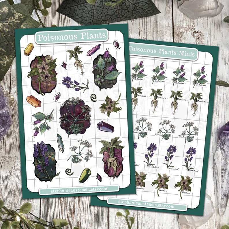 Poisonous Plants Sticker Sheet, Witchy Hand Drawn Kiss Cut Stickers, Belladonna Hemlock Henbane Monkshood Mandrake Stickers, Bujo Planners image 1