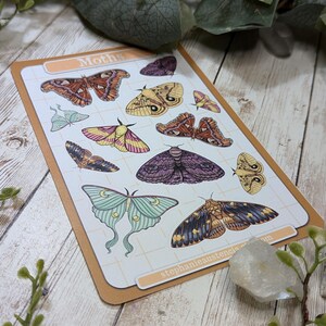 May include: A sheet of stickers featuring various moth illustrations. The stickers are on a white background with a grid pattern. The sheet is labeled "Moths" in the top left corner. The sheet is surrounded by green leaves and a white crystal.