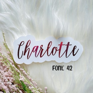 Könnte beinhalten: Ein weißer Aufkleber mit dem Namen "Charlotte" in kursiver Schrift, mit einem Rot-zu-Rosa-Farbverlauf. Der wolkenförmige Aufkleber liegt auf einer flauschigen, weißen Oberfläche. Der Text "Font: 42" steht darunter. Rosa Blumen befinden sich unten links.