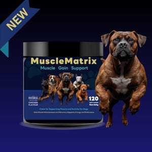 Może przedstawiać: Zdjęcie produktu, ciemnoniebieskiego pojemnika z gryzakami dla psów MuscleMatrix, z napisem "Muscle Gain Support". Pojemnik znajduje się obok brązowego psa. Etykieta głosi "Chicken Flavour" i "120 Soft Chews, Net 360g".