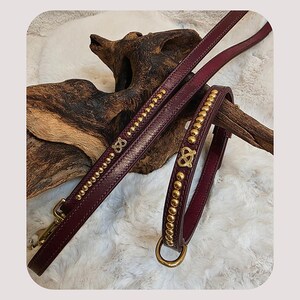 Op de afbeelding: Bordeaux leren hondenriem en halsband set. De riem en halsband zijn versierd met goudkleurige studs en een goudkleurig pretzel-vormig embleem. De set bevat een metalen sluiting en een D-ring.