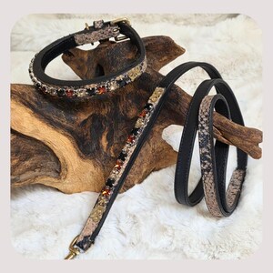 May include: A black leather dog collar and leash set with a snakeskin pattern and jewel accents. The collar and leash feature gold-colored hardware and are displayed on a piece of driftwood.