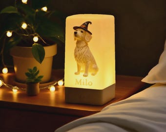 Anpassad nattlampa för hundminne, personlig nattlampa med foto och namn, USB-laddningsbar LED-lampa med 7 färger, present till förlust av husdjur, Halloweendekoration