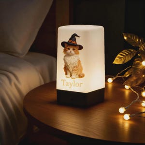 Custom Cat Memorial Night Light, Personalized Pet Photo Night Light with Name, USB Rechargeable 7-Color LED, Pet Loss Gift, Halloween Decor image 7