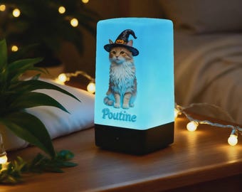 Anpassad nattlampa för kattminne, personlig nattlampa med foto och namn för husdjur, USB-laddningsbar LED-lampa med 7 färger, present till förlust av husdjur, Halloweendekoration