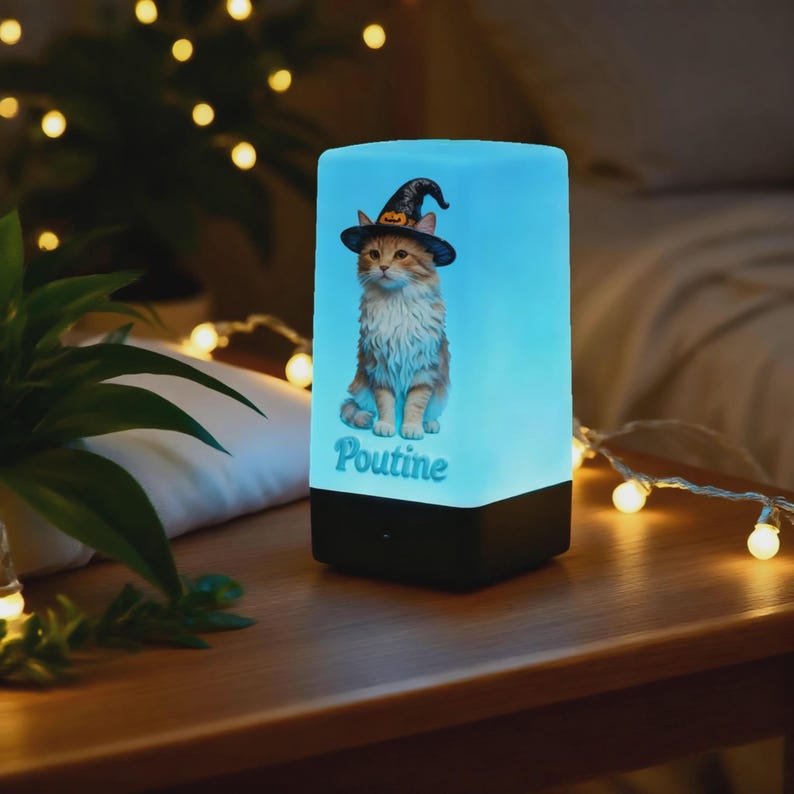 Custom Cat Memorial Night Light, Personalized Pet Photo Night Light with Name, USB Rechargeable 7-Color LED, Pet Loss Gift, Halloween Decor 3D Embossment