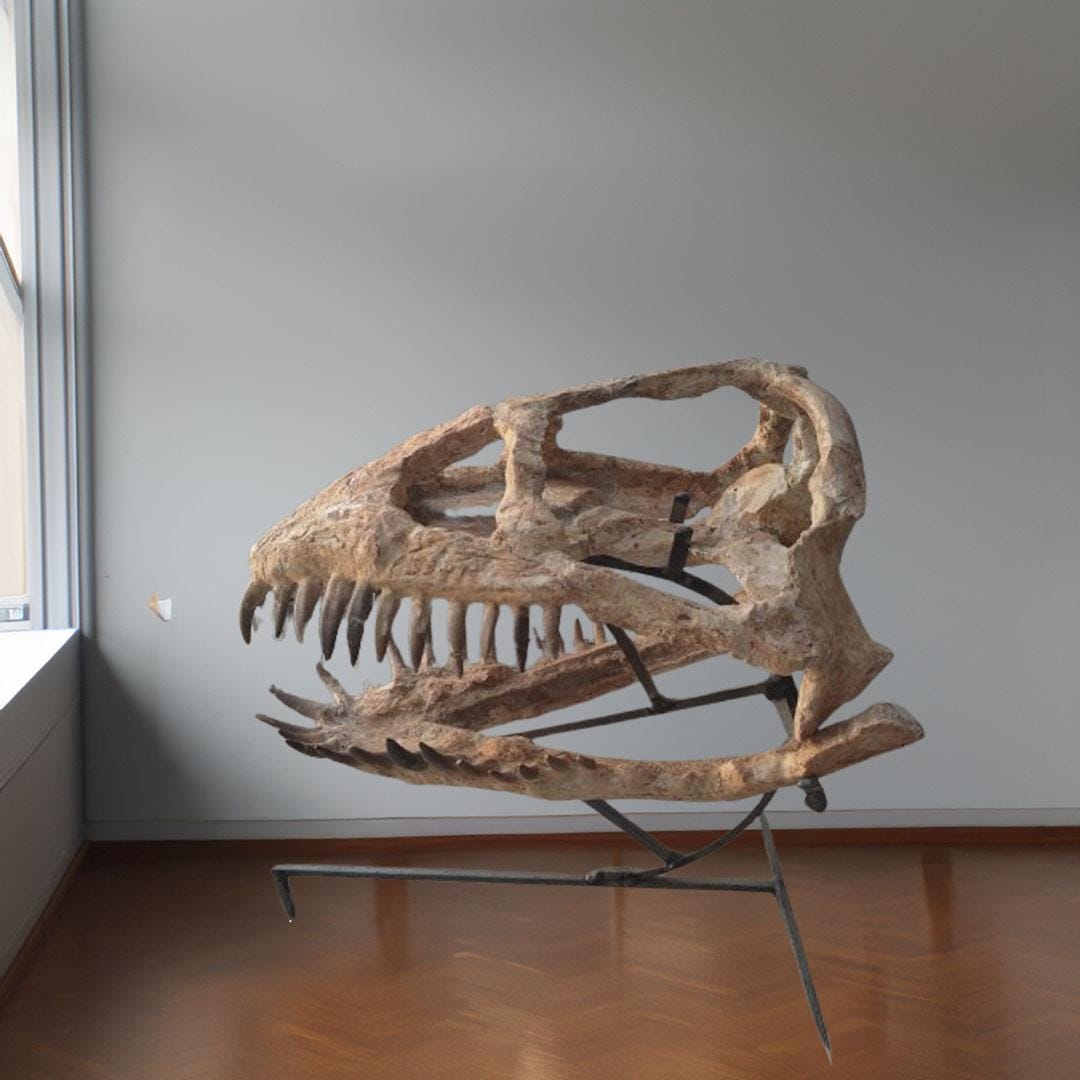 Camarasaurus - Etsy 日本