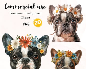 Boston Terrier Clipart: 20 PNG Images with Flowers (Commercial Use)