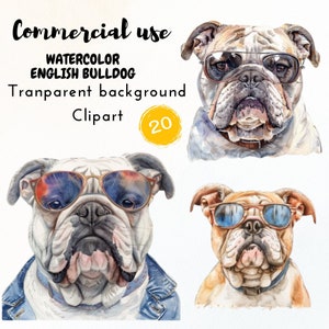 English Bulldog Clipart,PNG 20High-Quality Images for English Bulldog,Printables,and Commercial Use,Sublimation,Sublimation, Mugs,Planners