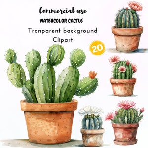 Aquarelle Cactus Clipart Png Fichiers, 20 cliparts de cactus, Cactus artistique, Images PNG de haute qualité, fond Transparent pour usage commercial