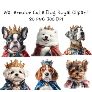 Aquarel schattige hond Royal clipart, 20 png 300 dpi clipart, schattige hond koning clipart, grappige Royal Canine clipart, hoogwaardige ontwerpen