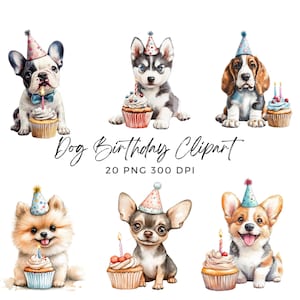 Clipart de aniversário de cachorro em aquarela, aniversário de animal de estimação, criação de cartões, licença comercial, criação de cartões, licença comercial