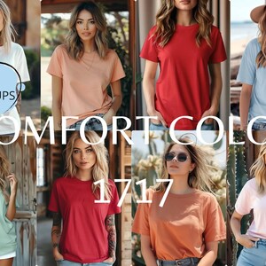 Comfort Color 1717,