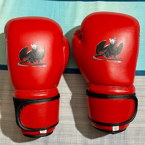 May include: Pair of bright red boxing gloves with a black and white dragon graphic on the back of each glove. The gloves have black wrist straps and the number "6oz" is printed on the bottom.