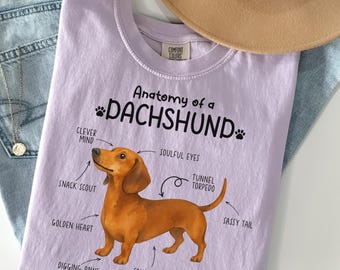 Anatomy of Dachshund Shirt, Funny Dog Lover Gift, Pet Lovers Tee, Dog Mom Shirt, Family's Small Dog, Sausage Dog Tee, V771