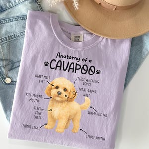 Puede incluir: Una camiseta lila Comfort Colors con el texto "Anatomy of a Cavapoo" y una ilustración de un perro Cavapoo. Las características del perro están etiquetadas con términos humorísticos. Un sombrero beige y vaqueros de mezclilla en el fondo.