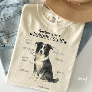 Border Collie Shirt, Dog Lover Gift, Collie T-shirt, Pet T-Shirt, Dog Mom, Border Collie Dog Anatomy Shirt, V766