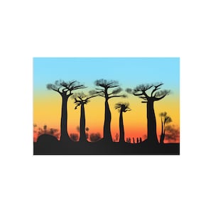 Carte postale de baobabs de lever de soleil de Madagascar. Impression d'art, cadeau, souvenir, voyage, papeterie, art mural