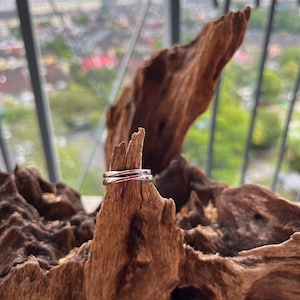 Peut inclure: Une bague en argent avec une fine bande rouge sur un morceau de bois flotté.
