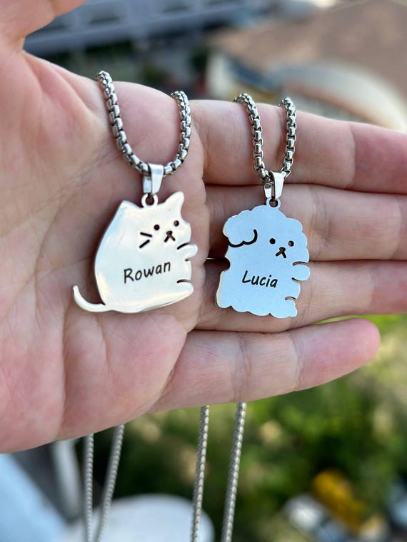 Custom Name Dog and Cat Matching Necklaces Personalized Pet