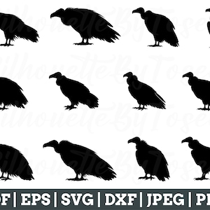 Gam Svg, Gam Siluett, Gam Fågel Klippfil, Gam Cricut, Jpeg, Png