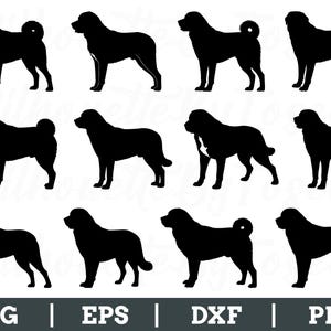 Anatolian Shepherd Dog Svg, Anatolian Dog vector, Anatolian Silhouette, Shepherd Dog Dxf, Png