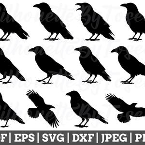 Crow Svg, Crow Silhouette, Crow Cut File, Crow Vector, Crow Cricut, Crow Dxf, Jpeg, Png